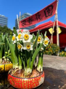 田香花園