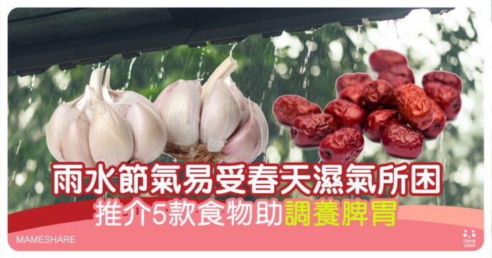 雨水節氣飲食-5款食物助調養脾胃-必吃脾之果防春困濕氣