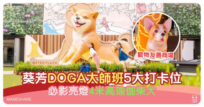 親子寵物好去處｜DOGA大師班：4米高巨型柴犬，空中瑜伽法鬥