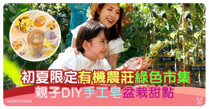 挪亞方舟初夏限定有機農莊綠色市集！必玩親子DIY手工皂、甜點