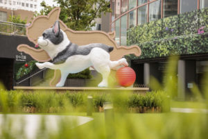 DOGA大師班巨型瑜伽犬