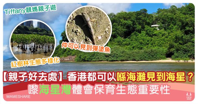 【親子好去處】香港都可以喺海灘見到海星？ 嚟海星灣保育生態重要性