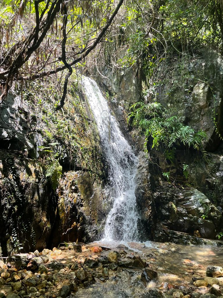 夏天行山路線布力徑