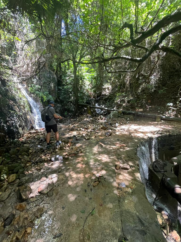 夏天行山路線布力徑