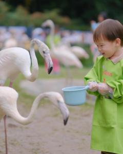 主題樂園