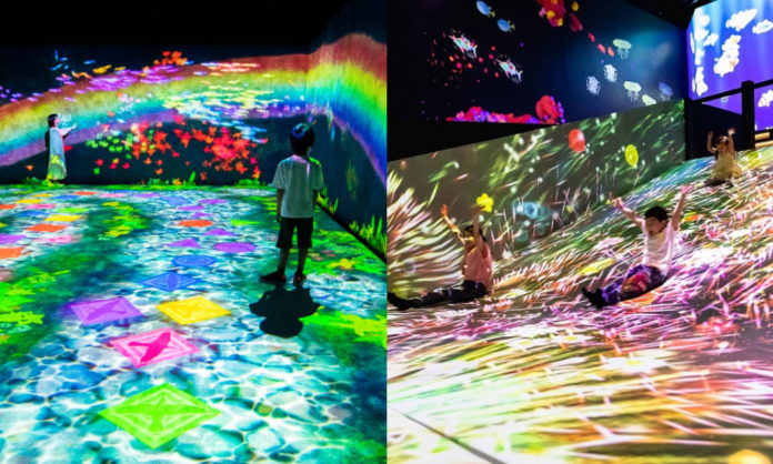 teamLab