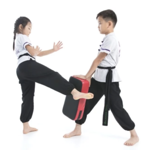 Mindful Wing Chun Kids