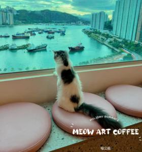 貓CAFE
