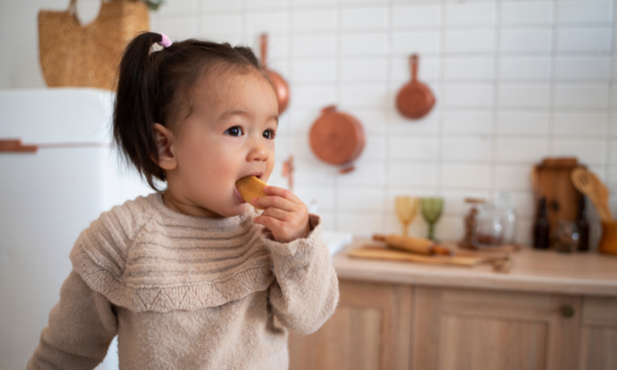 嬰幼兒小食