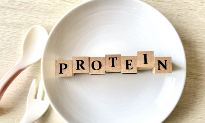 蛋白質營養