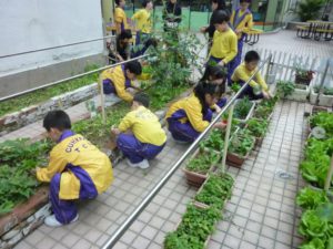 香港中文大學校友會聯會張煊昌學校