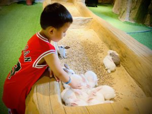 野恩動物樂園