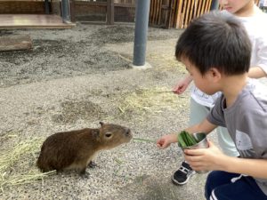 台灣高雄淨園農場