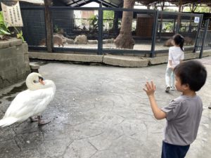 台灣高雄淨園農場